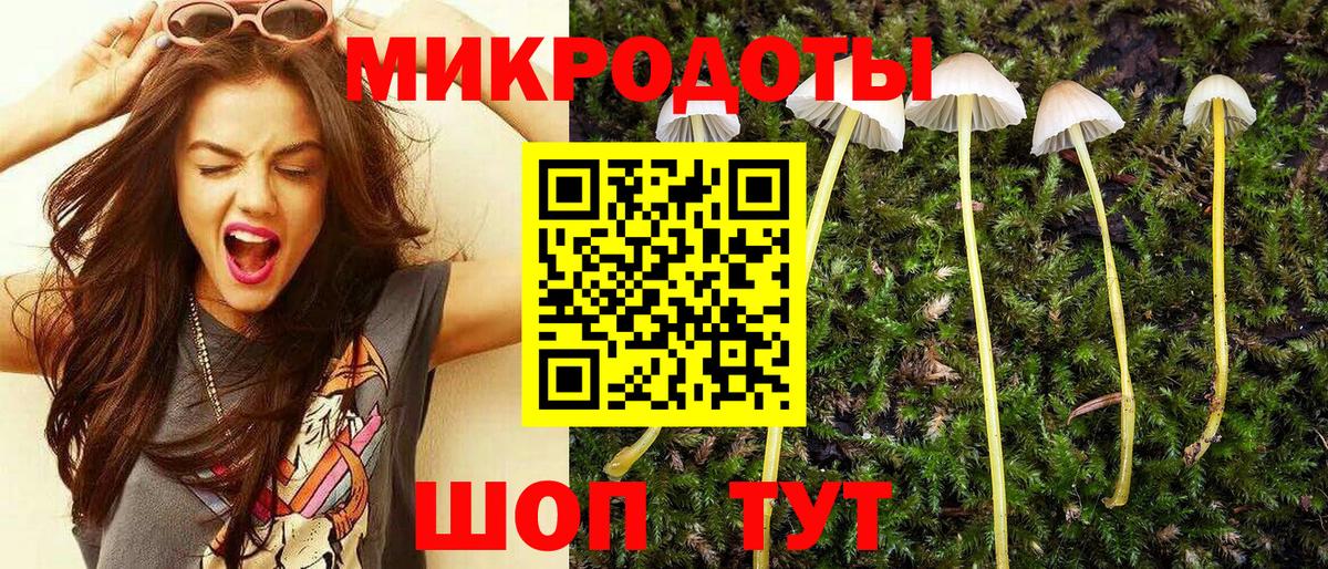 Галлюциногенные грибы GOLDEN TEACHER Нефтекамск
